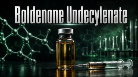 Boldenone Undecylenate (Болденон ундециленат)