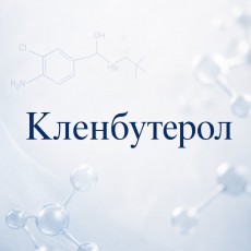 Clenbuterol Hydrochloride (Кленбутерол)