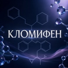 Clomid (Clomiphene Citrate / Кломифен Цитрат)