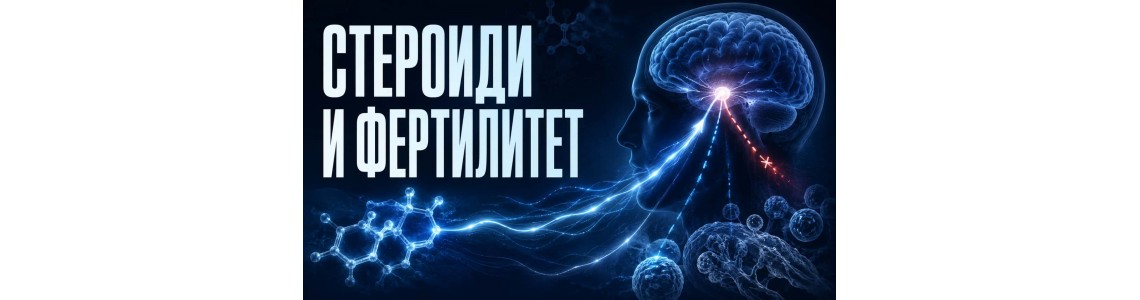 Стероиди, TRT и фертилитет: какво се случва със сперматогенезата и как се възстановява
