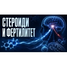 Стероиди, TRT и фертилитет: какво се случва със сперматогенезата и как се възстановява
