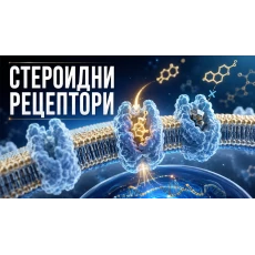 Запушване на стероидните рецептори: Stanozolol, Dianabol и AAS