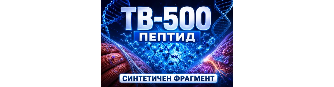 TB-500 и тимозин бета-4 (Tβ4): механизъм, изследвания и рискове