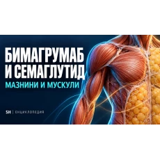 Бимагрумаб и семаглутид: повече загуба на мазнини, по-добро запазване на мускулите