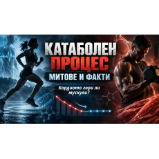 Катаболен процес - информация на SH | Спортни храни