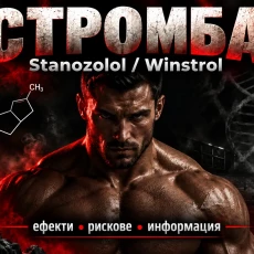 Стромба (Stanozolol / Winstrol) – фармакология, ефекти и медицинска история