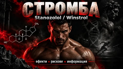 Стромба (Stanozolol / Winstrol) – фармакология, ефекти и медицинска история