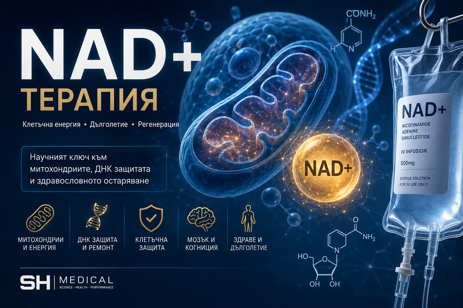 Медицинска енциклопедия на SH | Спортни храни – NAD+ терапия