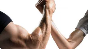 forearms_sh