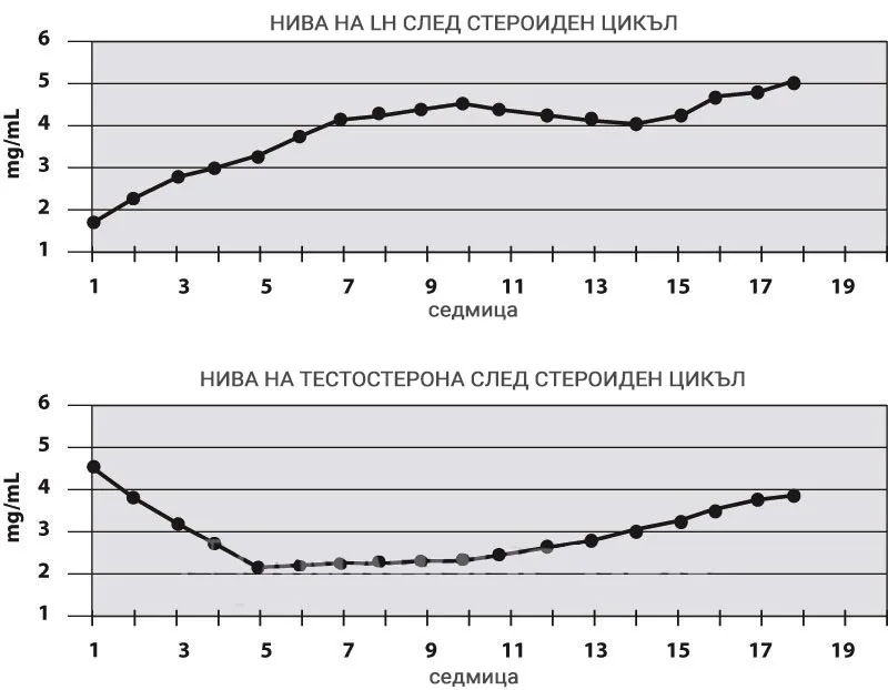 LH и тестостерон след стероиден цикъл – архивна графика от оригиналния материал Архивна графика за динамиката на LH и тестостерона след стероиден цикъл